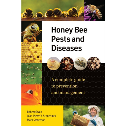 Exisle Publishing Honey Bee Pests and Diseases (häftad, eng)