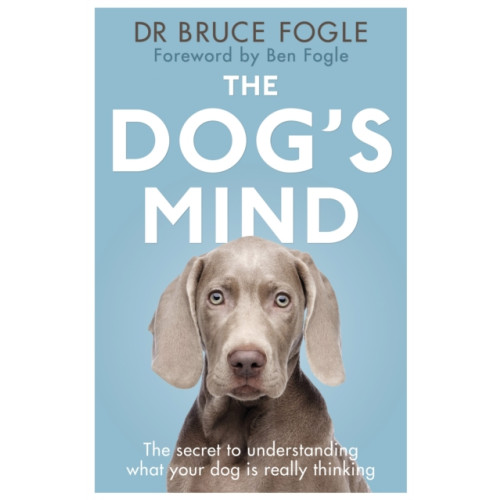 Penguin books ltd The Dog's Mind (häftad, eng)