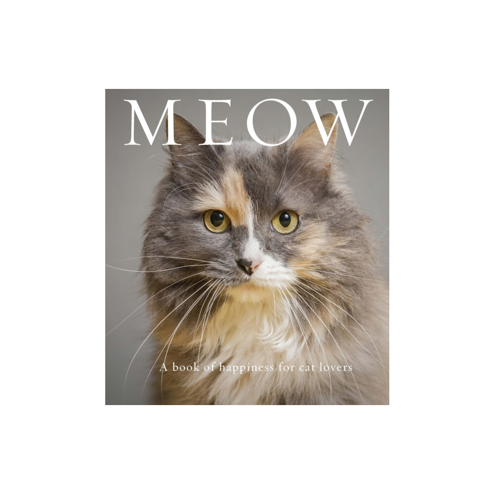 Produktbild för Meow (häftad, eng)