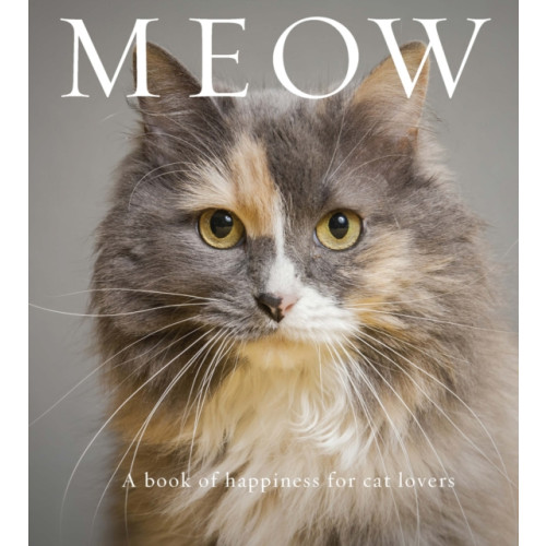 Exisle Publishing Meow (häftad, eng)