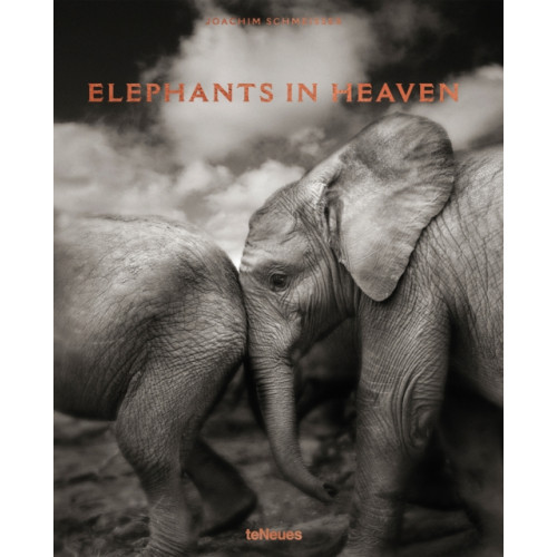 teNeues Publishing UK Ltd Elephants in Heaven (inbunden, eng)