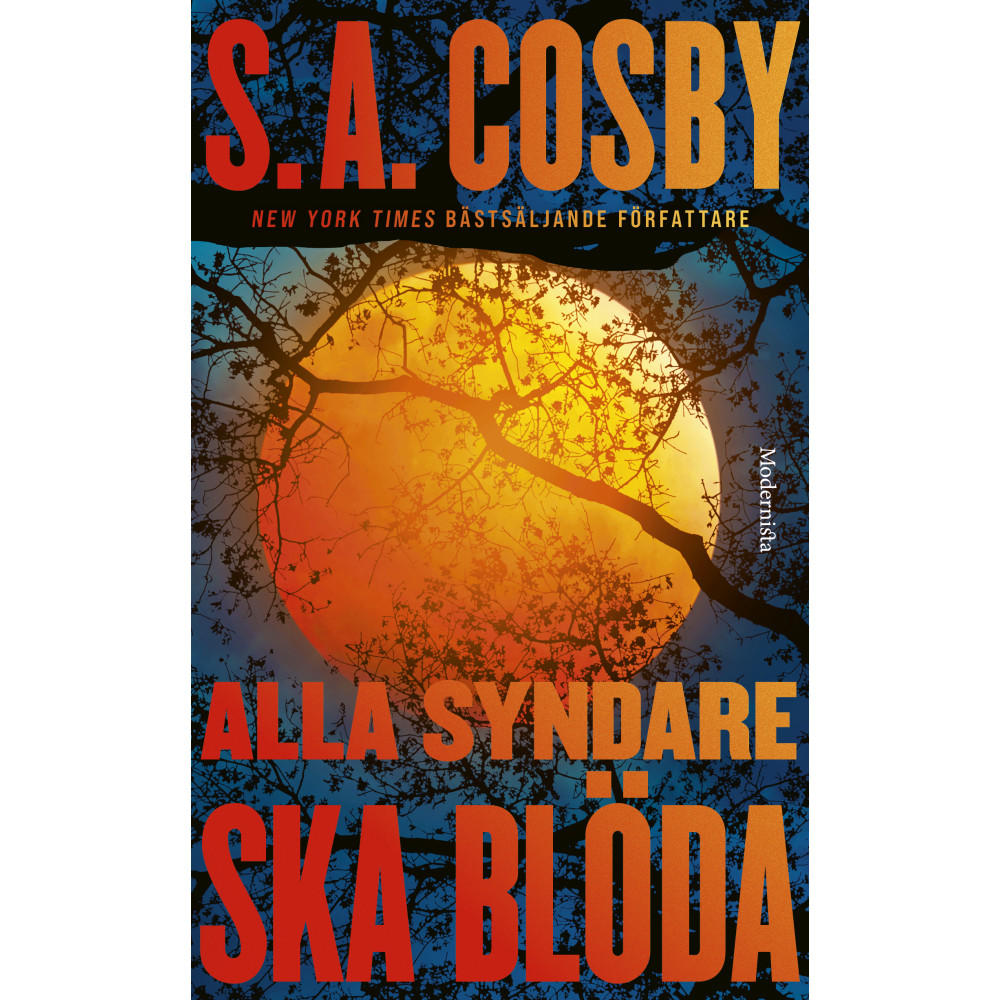 Produktbild för Alla syndare ska blöda (pocket)