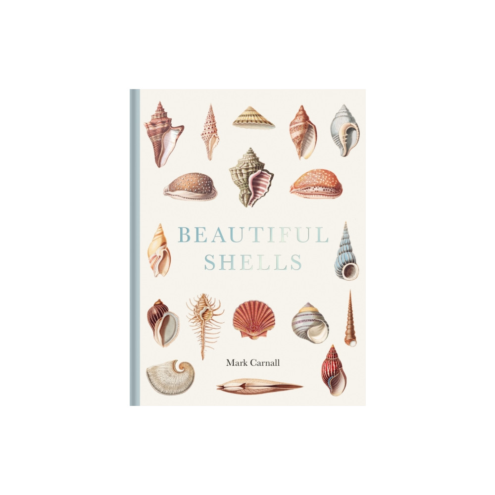 Produktbild för Beautiful Shells (inbunden, eng)