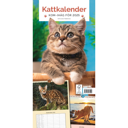 Bokförlaget Semic Kattkalender 2025 (bok, spiral)