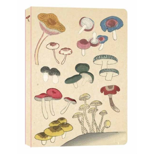 Tuttle Publishing Healing Mushrooms Lined Paperback Journal (häftad, eng)