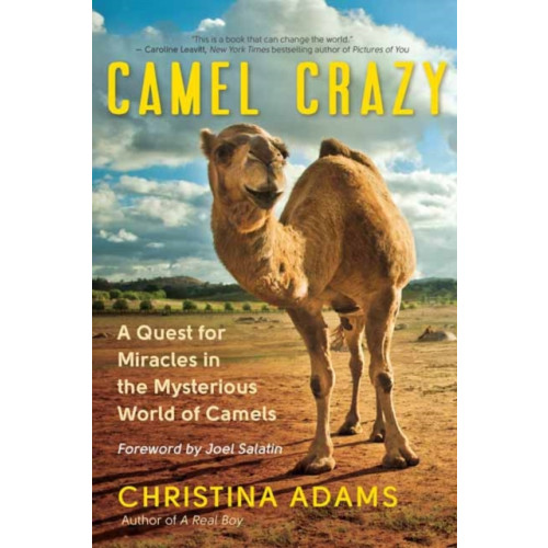 New World Library Camel Crazy (häftad, eng)