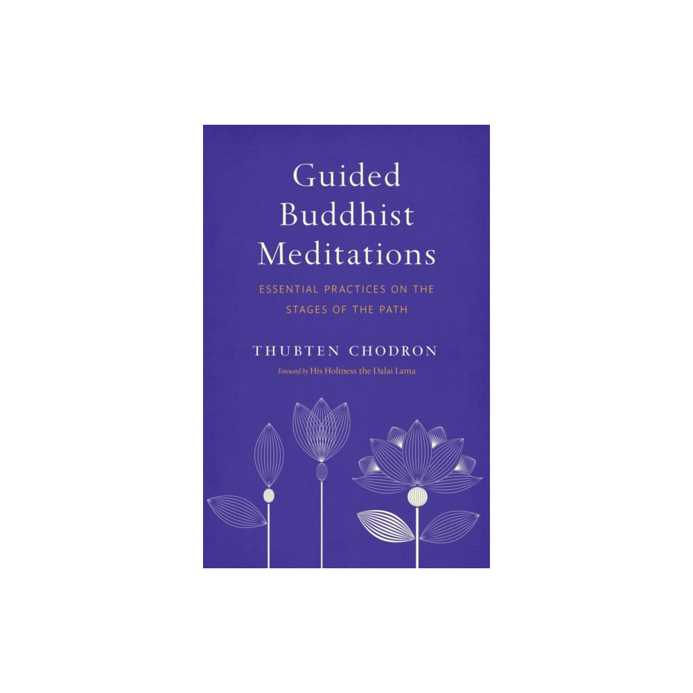 Produktbild för Guided Buddhist Meditations (häftad, eng)