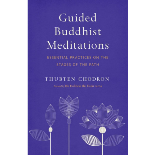 Shambhala Publications Inc Guided Buddhist Meditations (häftad, eng)