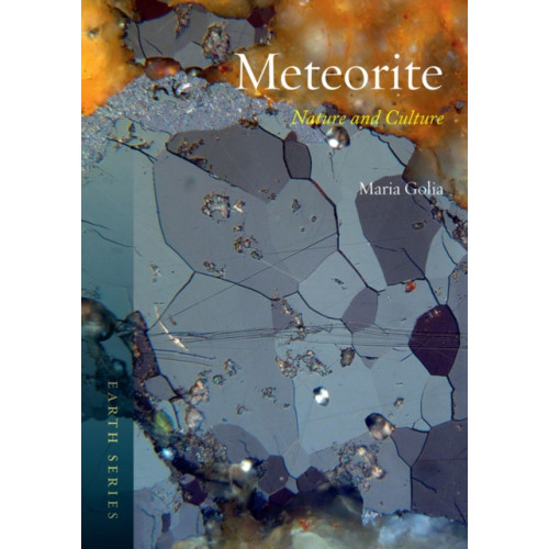 Reaktion Books Meteorite (häftad, eng)