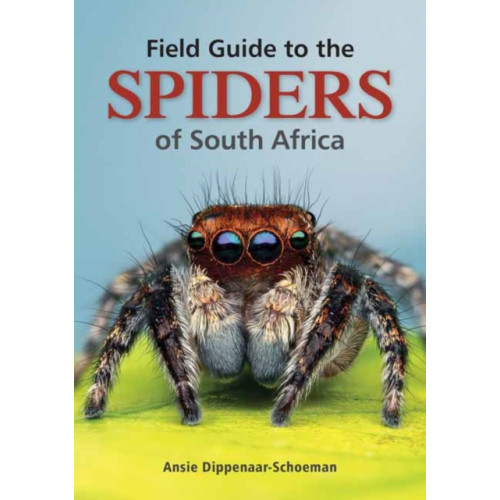 Penguin Random House South Africa Field Guide to the Spiders of South Africa (häftad, eng)