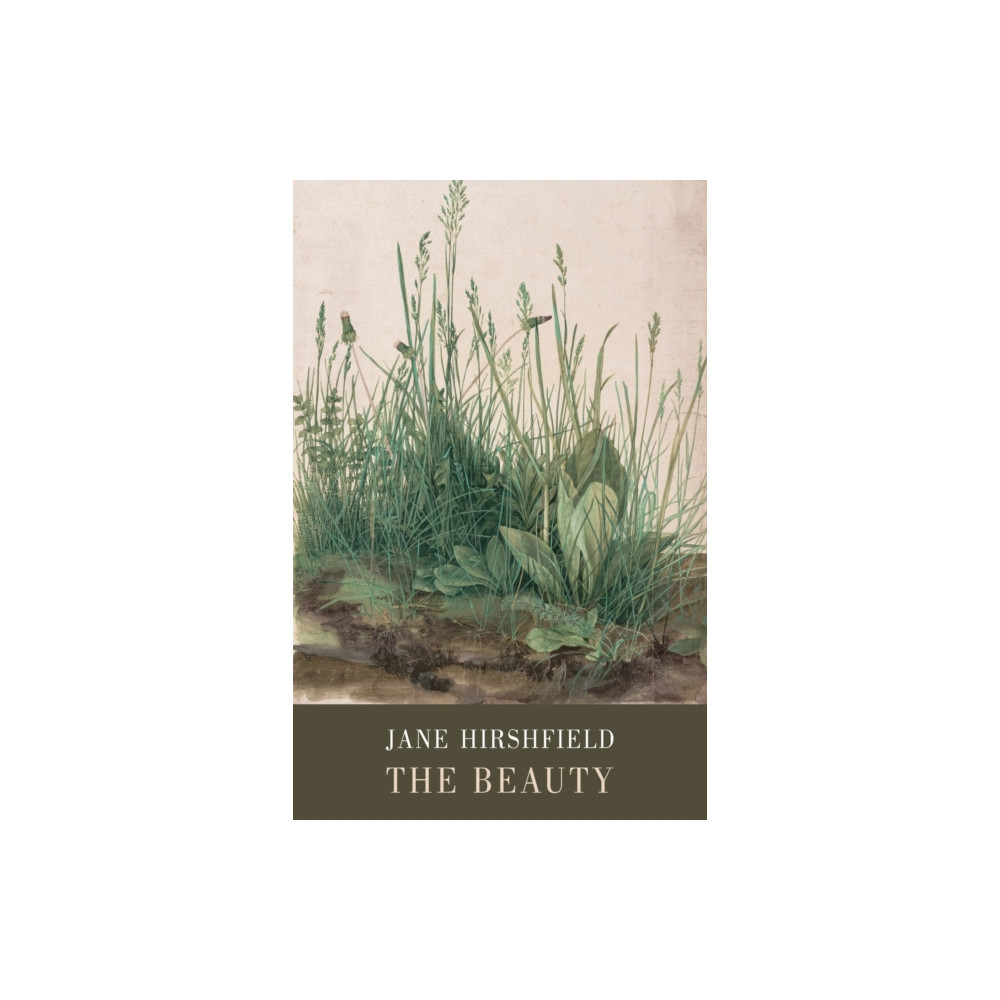 Produktbild för The Beauty (häftad, eng)