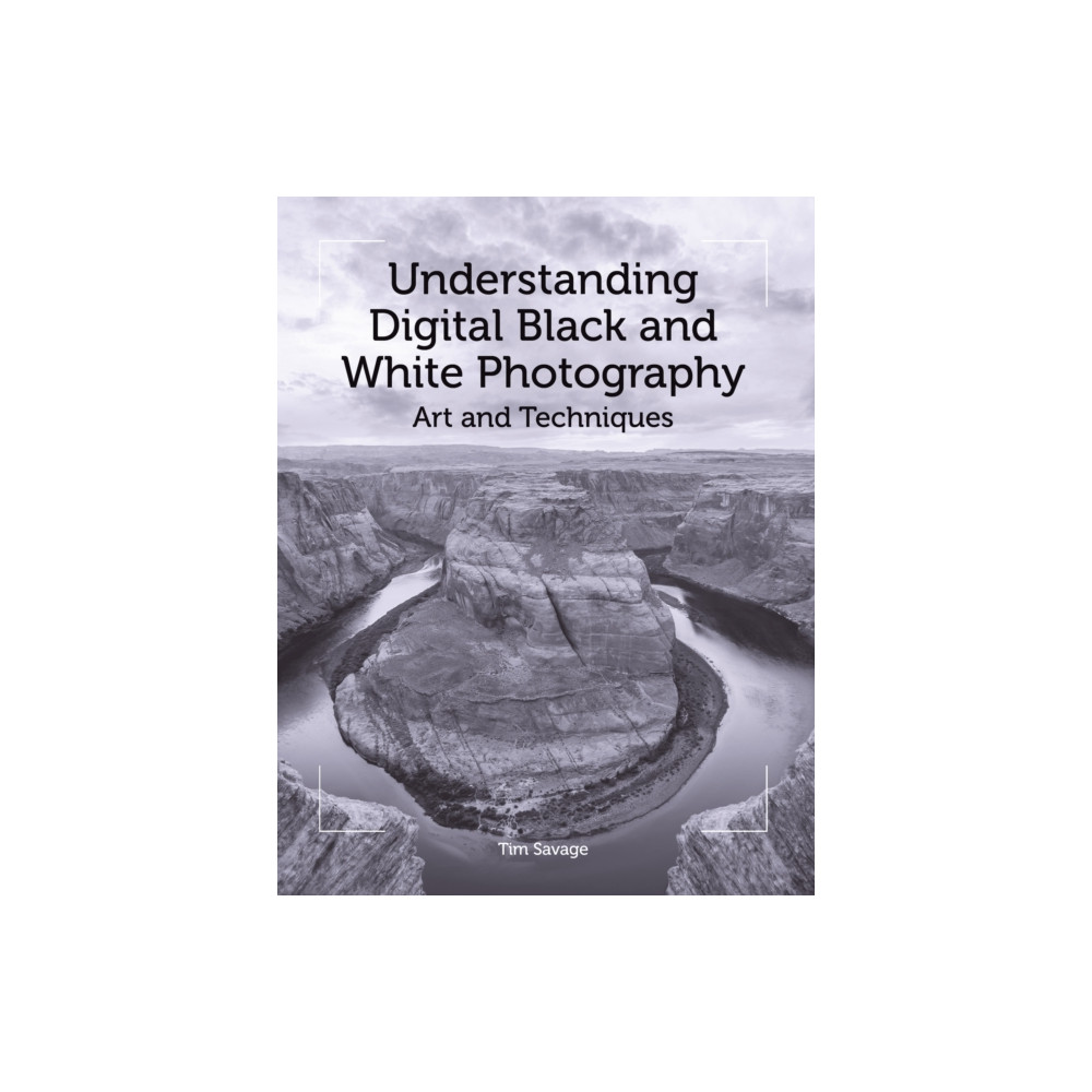 Produktbild för Understanding Digital Black and White Photography (häftad, eng)