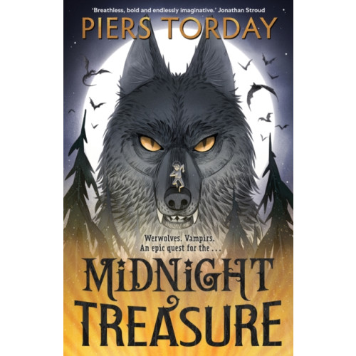 Hachette Children's Group Midnight Treasure (inbunden, eng)