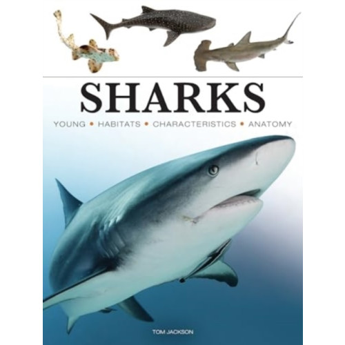 Amber Books Ltd Sharks & Underwater Predators (häftad, eng)