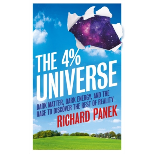 Oneworld Publications The 4-Percent Universe (häftad, eng)