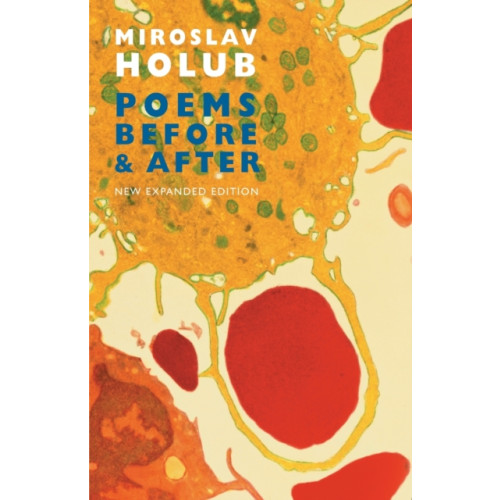 Bloodaxe Books Ltd Poems Before & After (häftad, eng)