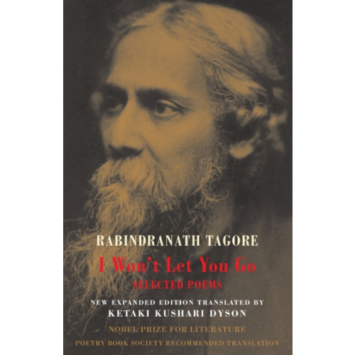Bloodaxe Books Ltd I Won't Let You Go (häftad, eng)