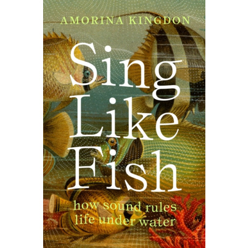 Scribe Publications Sing Like Fish (häftad, eng)