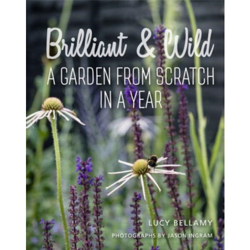 Gemini Books Group Ltd Brilliant and Wild (inbunden, eng)