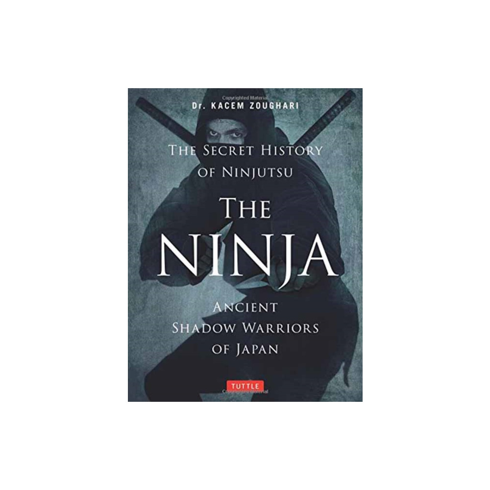 Produktbild för The Ninja, The Secret History of Ninjutsu (häftad, eng)