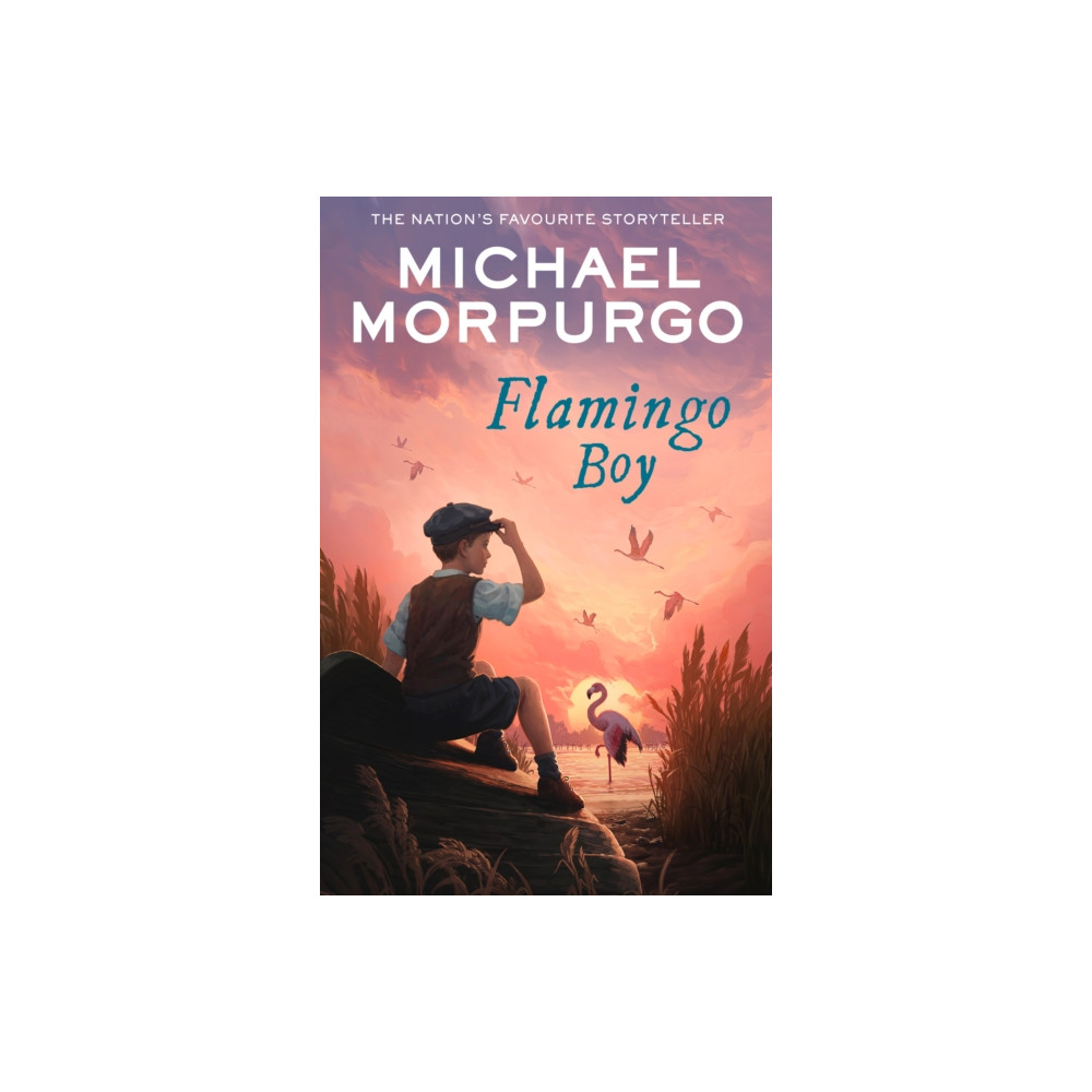 Produktbild för Flamingo Boy (häftad, eng)