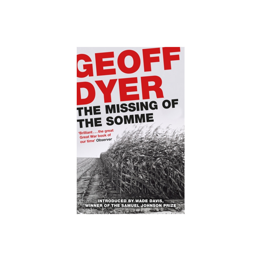 Produktbild för The Missing of the Somme (häftad, eng)