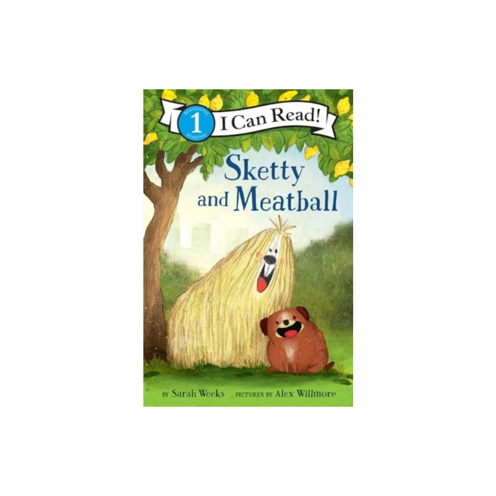 Produktbild för Sketty and Meatball (häftad, eng)