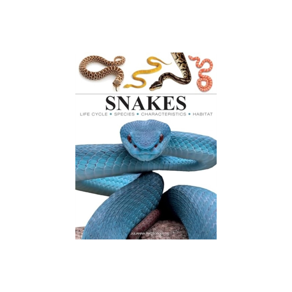 Produktbild för Snakes (häftad, eng)