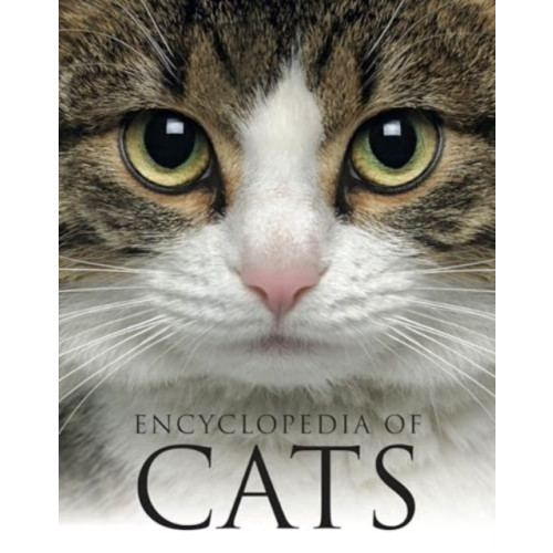 Amber Books Ltd Encyclopedia of Cats (häftad, eng)