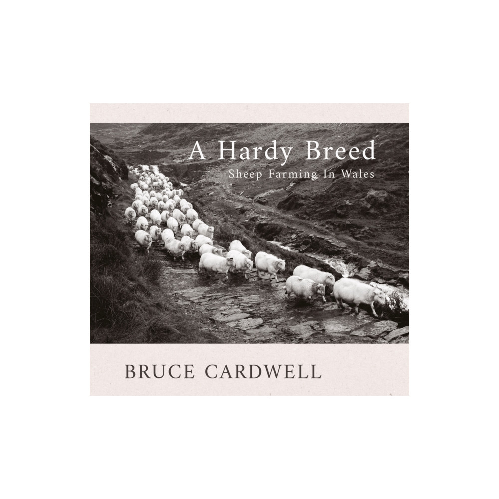 Produktbild för A Hardy Breed (häftad, eng)