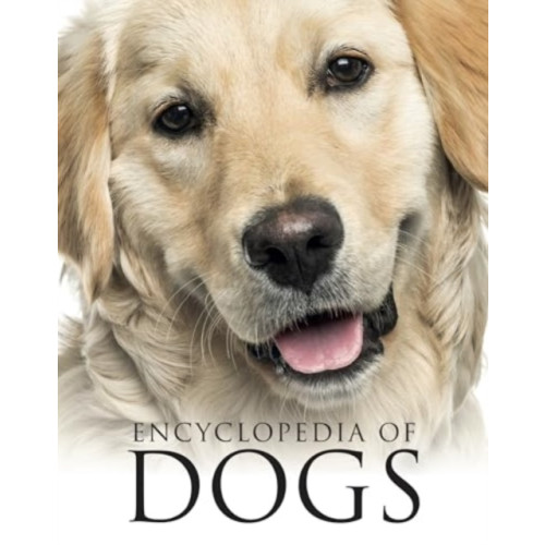 Amber Books Ltd Encyclopedia of Dogs (häftad, eng)