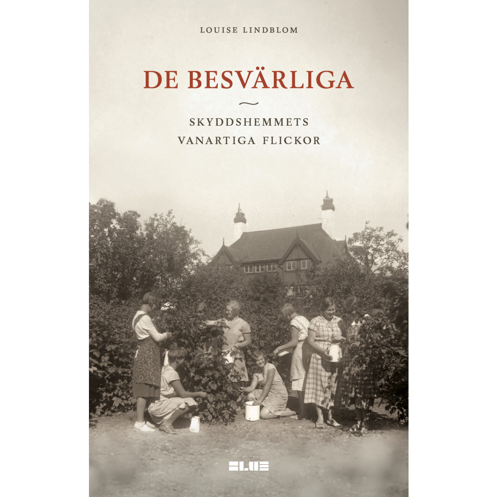 Produktbild för De besvärliga : skyddshemmets vanartiga flickor (bok, danskt band)
