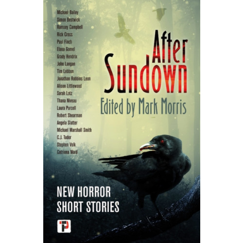 Flame Tree Publishing After Sundown (häftad, eng)