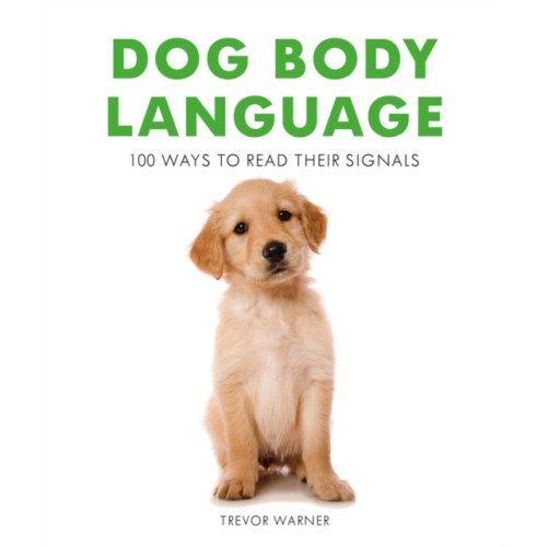 HarperCollins Publishers Dog Body Language (häftad, eng)