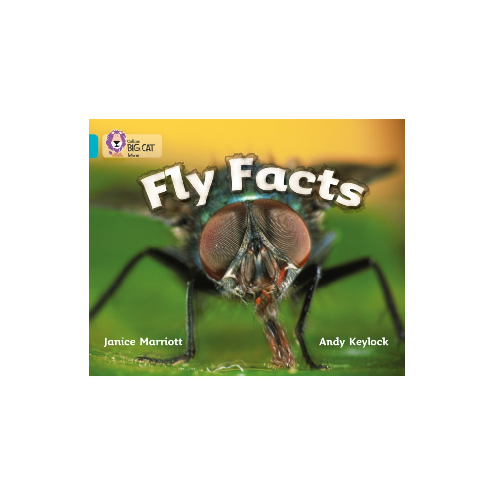 Produktbild för Fly Facts (häftad, eng)