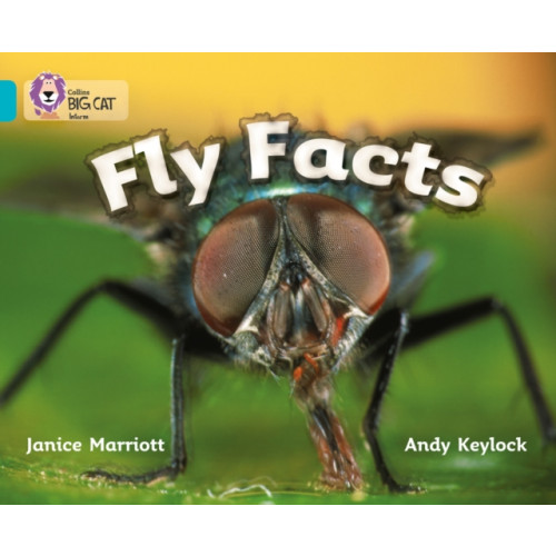 HarperCollins Publishers Fly Facts (häftad, eng)