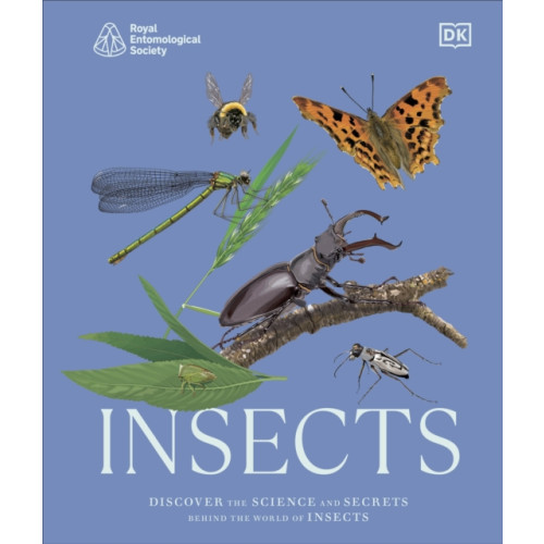 Dorling Kindersley Ltd RES Insects (inbunden, eng)