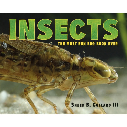 Charlesbridge Publishing,U.S. Insects (inbunden, eng)