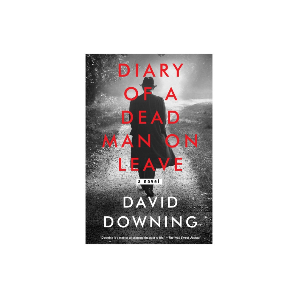 Produktbild för Diary of a Dead Man on Leave (häftad, eng)