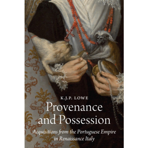 Princeton University Press Provenance and Possession (inbunden, eng)