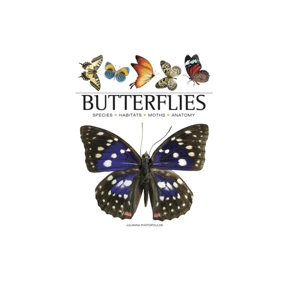 Produktbild för Butterflies (häftad, eng)