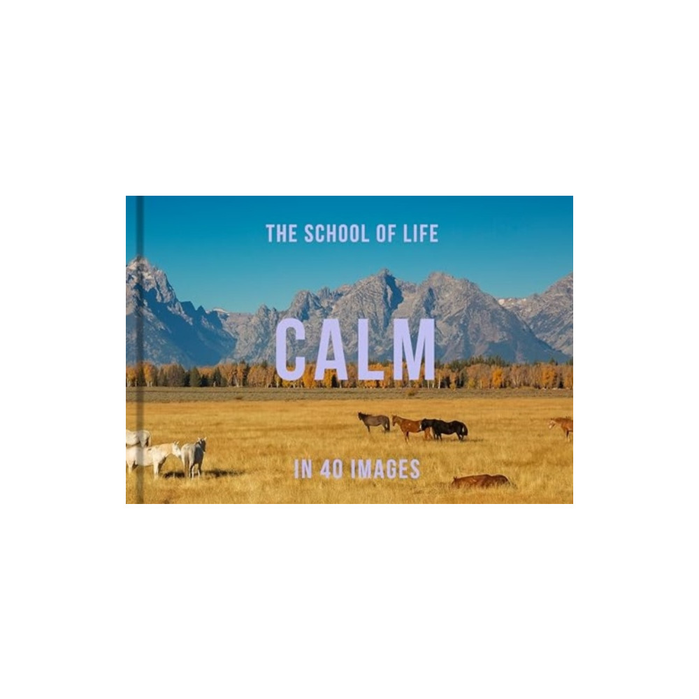 Produktbild för Calm in 40 Images (inbunden, eng)