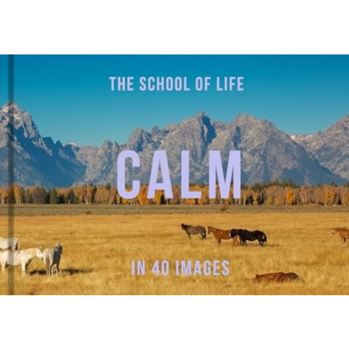 The School of Life Press Calm in 40 Images (inbunden, eng)