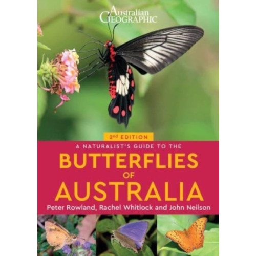 John Beaufoy Publishing Ltd A Naturalist's Guide to the Butterflies of Australia (2nd) (häftad, eng)