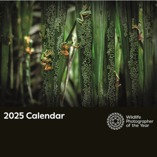 Portico Designs Ltd Wildlife Photographer of the Year Square Wall Calendar 2025 (häftad, eng)