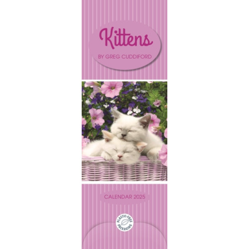 Wpl Gifts Ltd Kittens By Greg Cuddiford  Slim Calendar 2025 (häftad, eng)