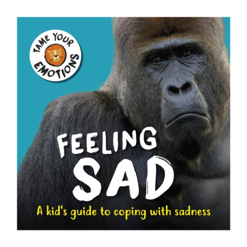 Hachette Children's Group Tame Your Emotions: Feeling Sad (häftad, eng)