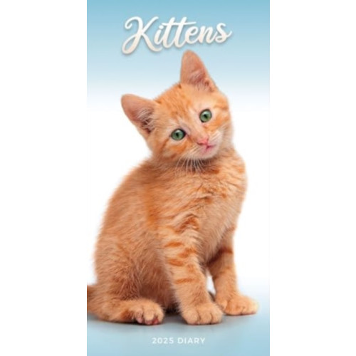 Carousel Calendars Kittens Slim Diary 2025 (häftad, eng)