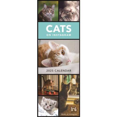 Portico Designs Ltd Cats on Instagram Slim Calendar 2025 (häftad, eng)