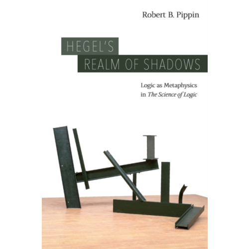 The university of chicago press Hegel's Realm of Shadows (häftad, eng)